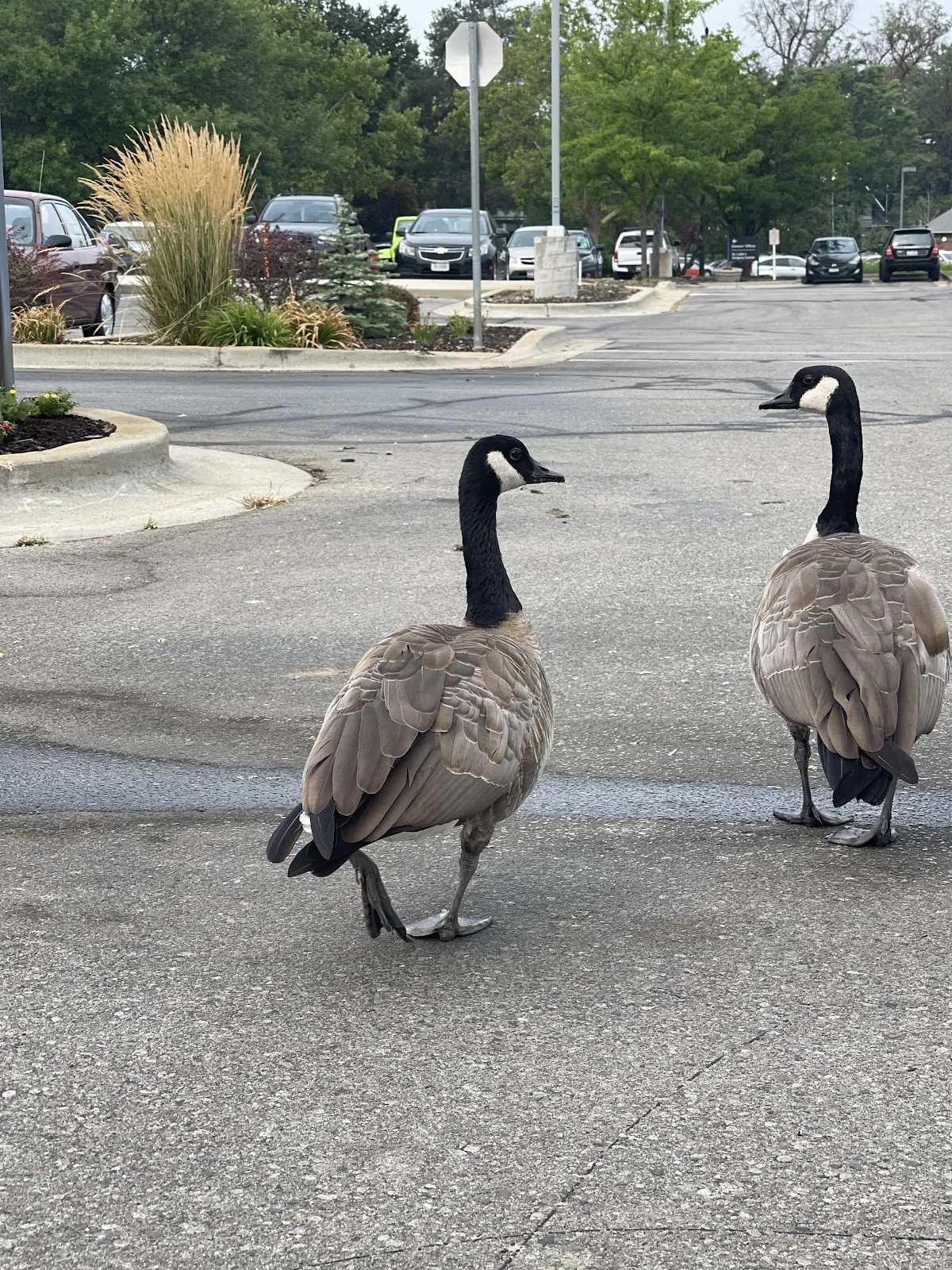 St. Luke's Rehabilitation Hospital: Boise