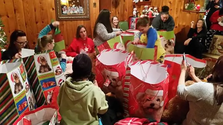 Chrysalis Women's Transitional Livi - Photo 3