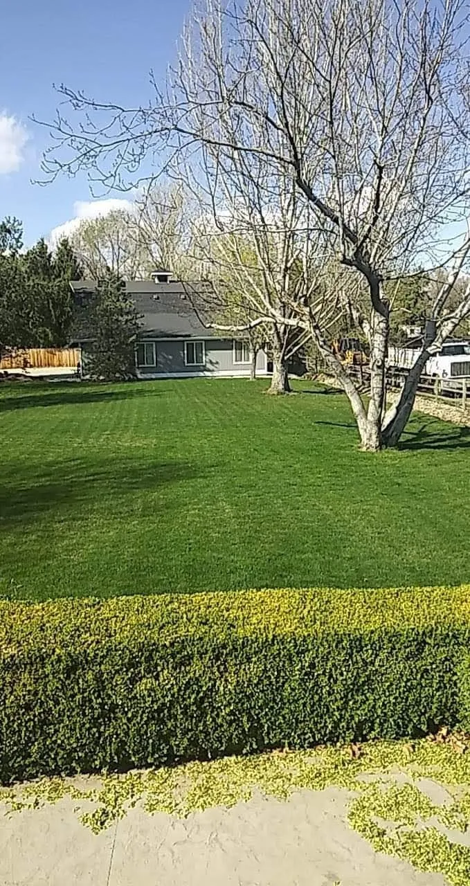 Halfway House - Photo 1