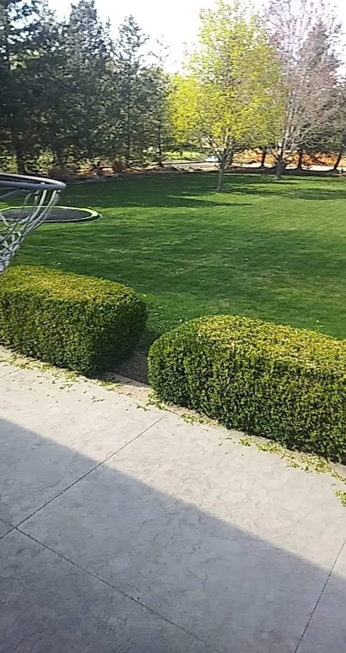 Halfway House - Photo 3