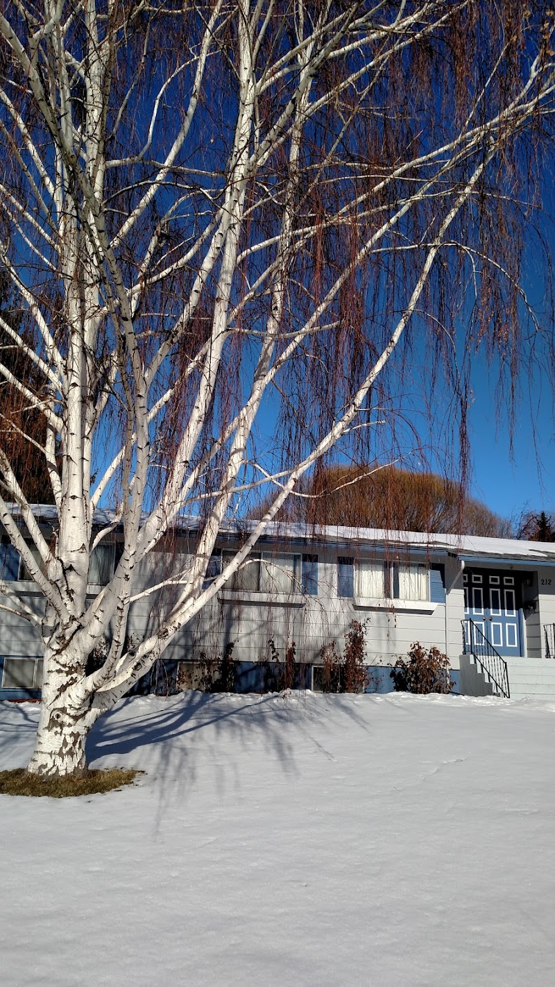 Risen House - Photo 5