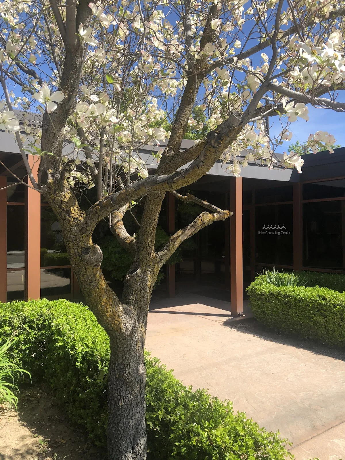 Boise Counseling Center - Steven I. Lanzet, LMFT-S, LCPC-S