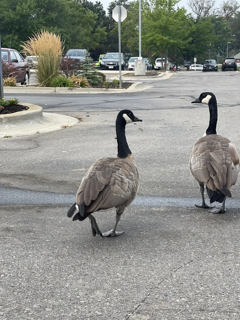 St. Luke's Rehabilitation Hospital: - Photo 4